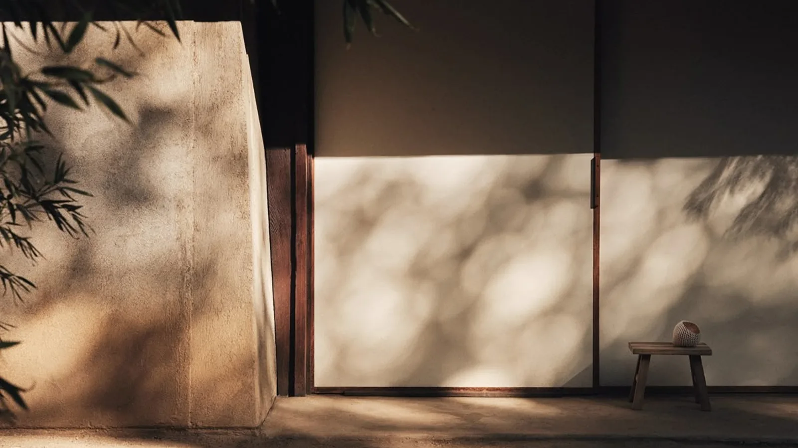 Dappled leaf shadow across a plaster wall beside a dark timber threshold, with the terrātamo mark glowing softly on the wall